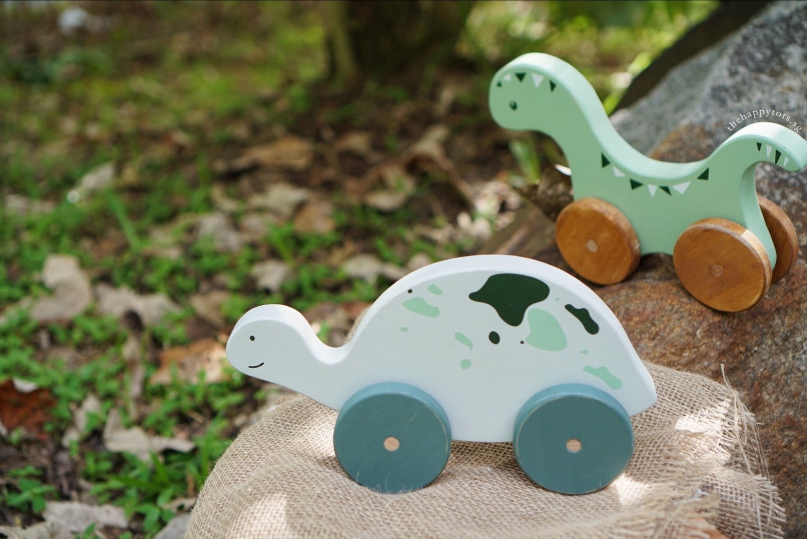 Dom the Green Dinosaur Push and Pull Toy - WERONE