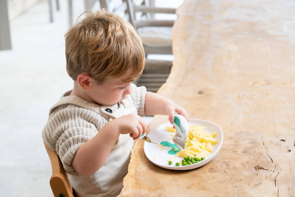 Doddl Children's Plate for Fun Family Mealtime - WERONE