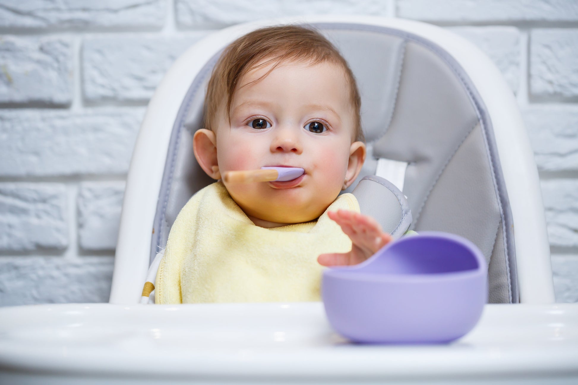 Heat-It and Eat-It Suction Bowl - WERONE