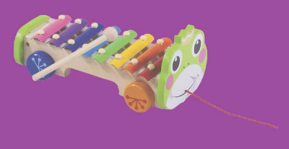 Rainbow Xylophone on pull along frog - WERONE