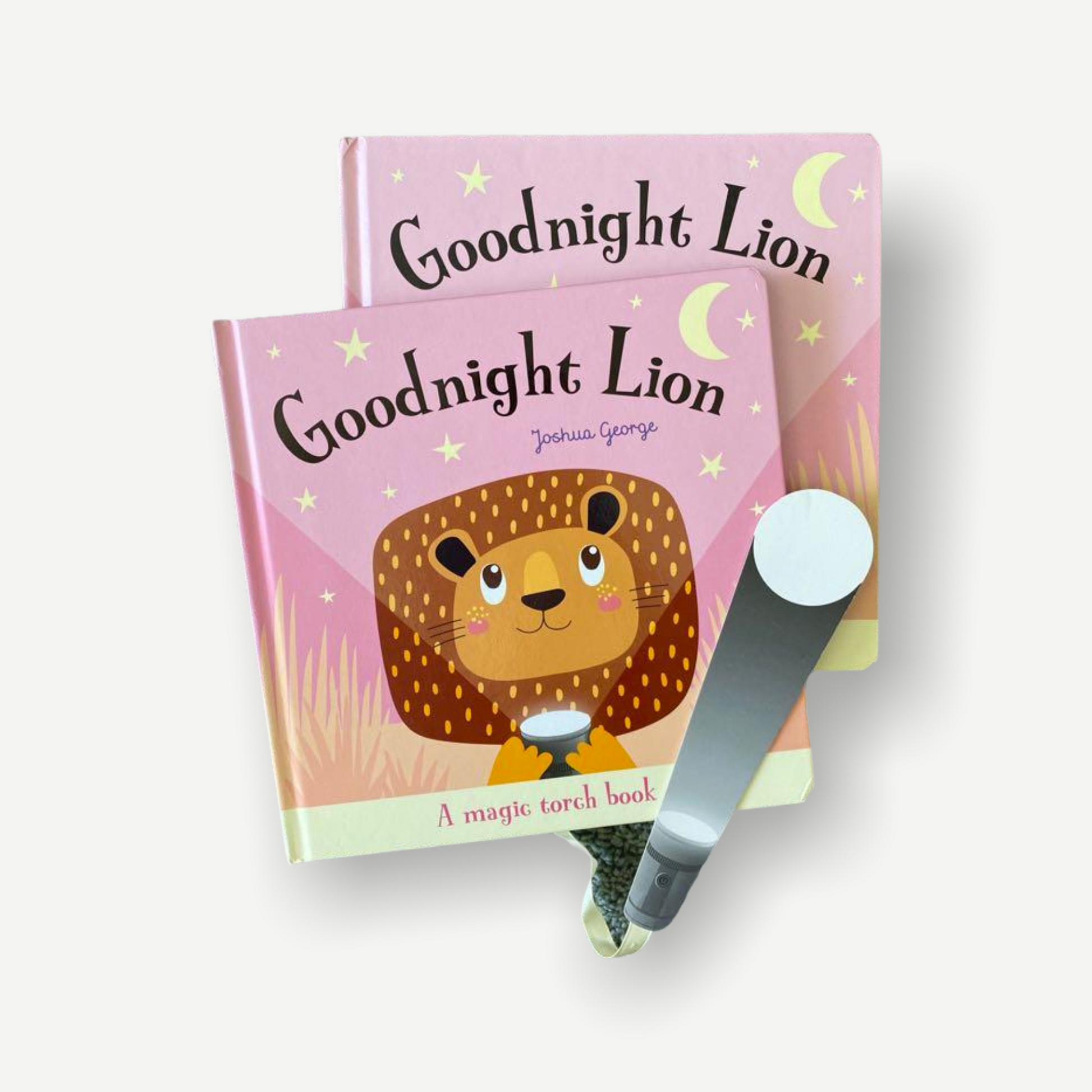 Goodnight Lion by Joshua George - WERONE