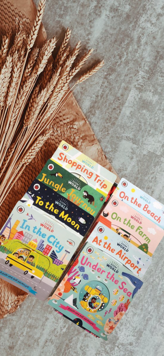 Bundle Set: Little World Books by Allison Black - WERONE
