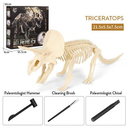 Dinosaur Excavation Kit - WERONE