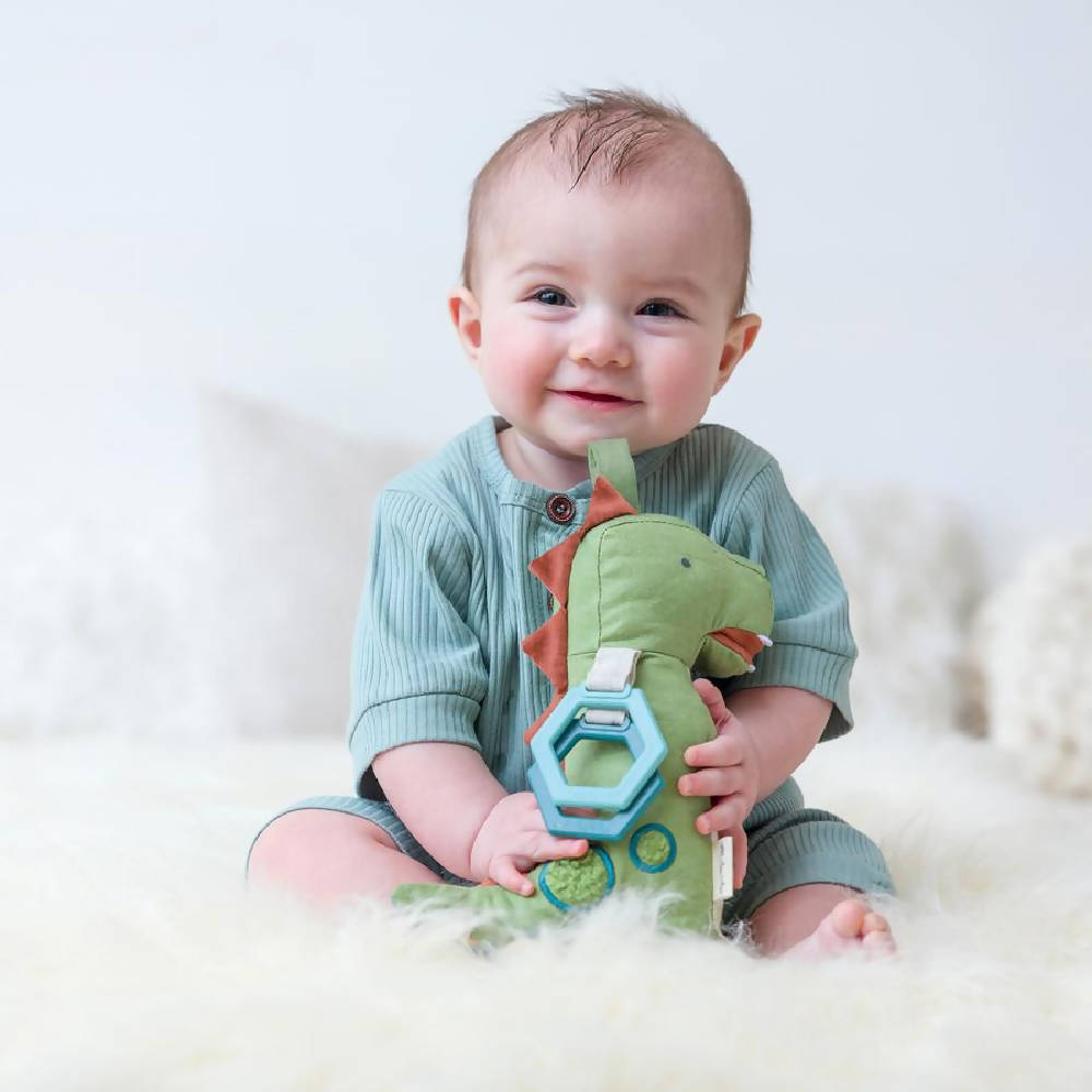 Dino Bitzy Bespoke Link & Love Activity Plush and Teether Toy - WERONE